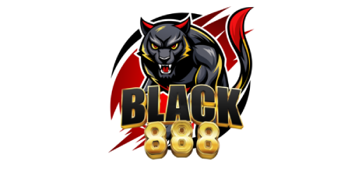 Black888 สัมผัสความสำเร็จ เกมเดิมพันระดับพรีเมียม